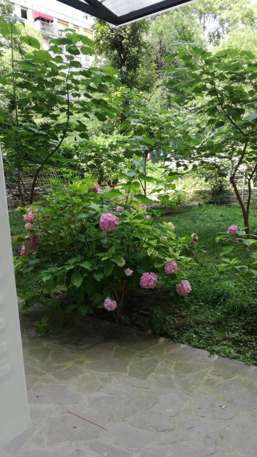 Apartamento Vracar Krunska Jamiva Belgrado Exterior foto